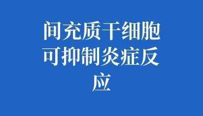 干细胞调节T细胞